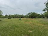 12550 County Road 136 - Photo 10