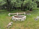 12550 County Road 136 - Photo 11
