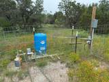 12550 County Road 136 - Photo 15