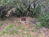 12550 County Road 136 - Photo 7