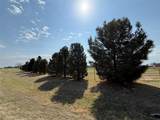 249 Quicksilver Road - Photo 3