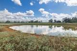TBD County Road 155 - Photo 12