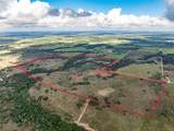 TBD County Road 155 - Photo 6