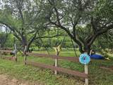 441 County Road 433 - Photo 6