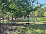 3640 Van Zandt County Road - Photo 29