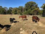 3640 Van Zandt County Road - Photo 6