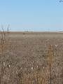 tbd Cr 168 - Photo 5