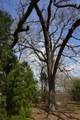 1698 Doc Holiday Dr - Photo 21