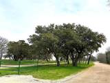 Sunset Ranch Tract 1 Cr 356 Road - Photo 10