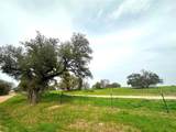 Sunset Ranch Tract 1 Cr 356 Road - Photo 12