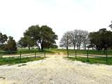 Sunset Ranch Tract 1 Cr 356 Road - Photo 9