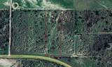 55 Acres Fm 339 - Photo 1
