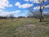 55 Acres Fm 339 - Photo 6