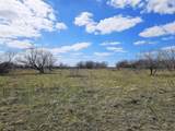 55 Acres Fm 339 - Photo 7