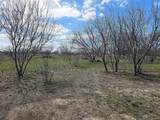 55 Acres Fm 339 - Photo 8