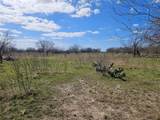 55 Acres Fm 339 - Photo 9