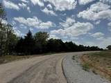 Lot 14 Big Cedar Court - Photo 8