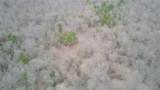 0000 Sandswitch Road - Photo 31