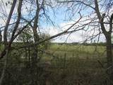 TBD 2 County Road 4581 - Photo 19
