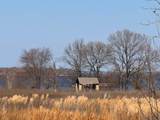 TBD County Road 1575 - Photo 14
