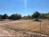 865 Oak Point Drive - Photo 3