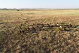 11000 County Road 110 - Photo 10