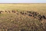 11000 County Road 110 - Photo 13