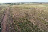 11000 County Road 110 - Photo 16