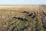 11000 County Road 110 - Photo 2