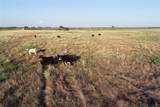 11000 County Road 110 - Photo 4