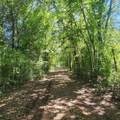 0 S Vivian Street - Photo 1