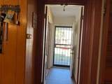4521 Oleander Trail - Photo 3