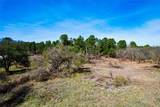 300 Cowboy Court - Photo 6
