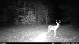 TBD Fm 274 - Photo 24