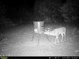 TBD Fm 274 - Photo 26