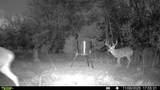 TBD Fm 274 - Photo 5