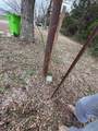 7463 County Road 438 - Photo 22