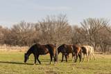 1950 Hamilton Road - Photo 32