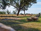 Lot 59 Birkdale Court - Photo 10