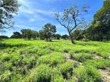 Lot 6 Carmel Valley - Photo 12