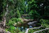000 Pigg Road - Photo 7