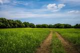 000 Pigg Road - Photo 9