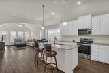 10337 Lenten Rose Street - Photo 12