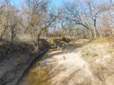 60.27 Acres - Leon R County Road 446 - Photo 17
