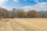 60.27 Acres - Leon R County Road 446 - Photo 21
