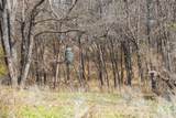 60.27 Acres - Leon R County Road 446 - Photo 23