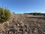2220 Canyon Wren Loop - Photo 8
