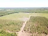 Off Cr 4290 - Photo 1