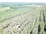 Off Cr 4290 - Photo 10