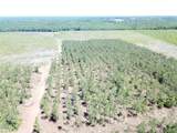Off Cr 4290 - Photo 14